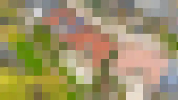 de Ceder 6 Bergschenhoek thumbnail 14