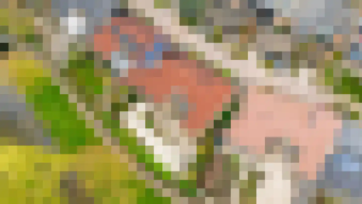 de Ceder 6 Bergschenhoek thumbnail 14