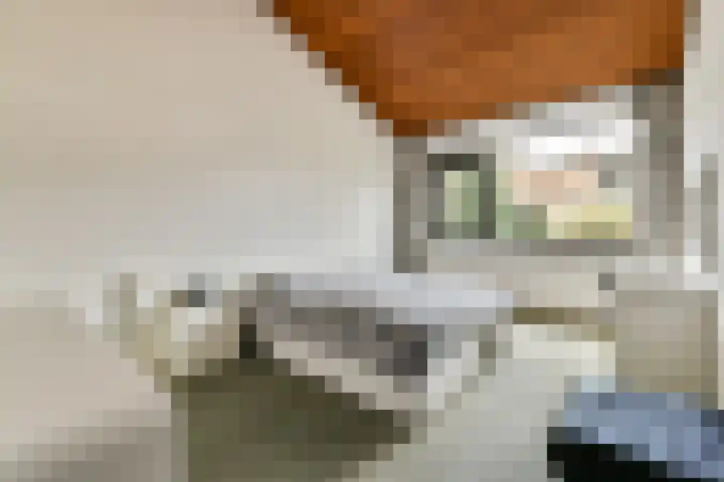 de Ceder 6 Bergschenhoek thumbnail 15