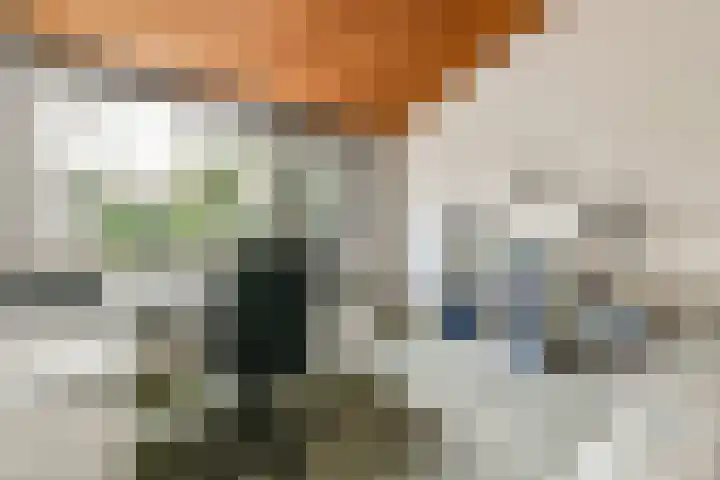 de Ceder 6 Bergschenhoek thumbnail 18