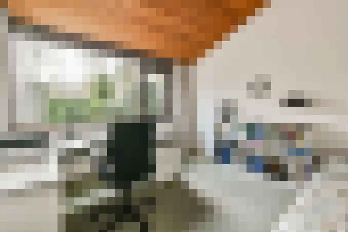 de Ceder 6 Bergschenhoek thumbnail 18