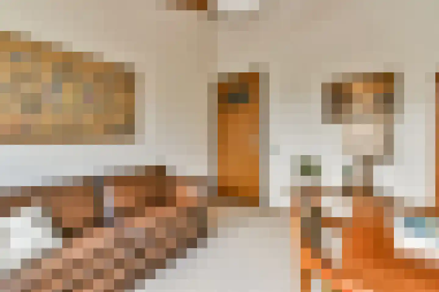 de Ceder 6 Bergschenhoek thumbnail 22
