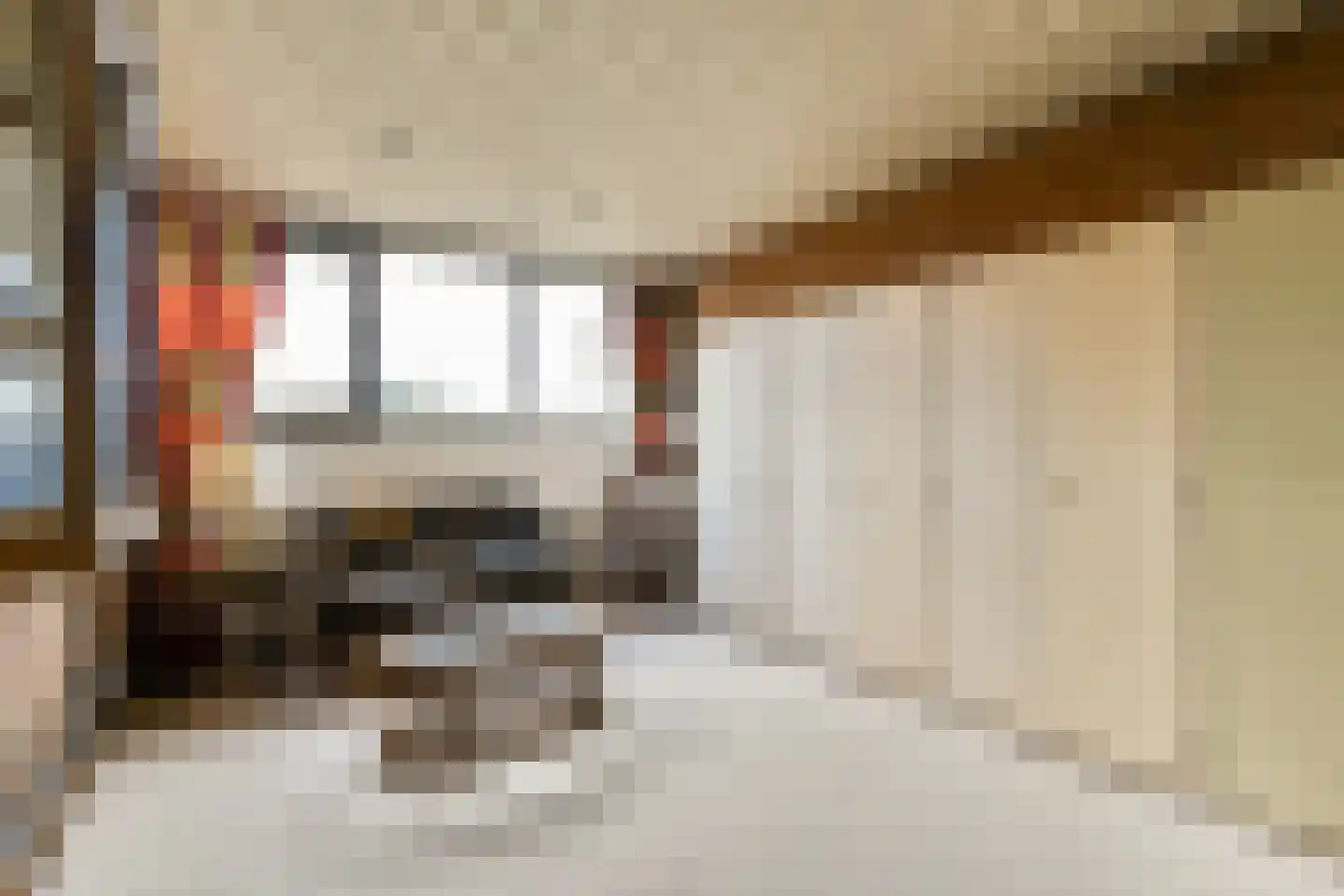 de Ceder 6 Bergschenhoek thumbnail 23