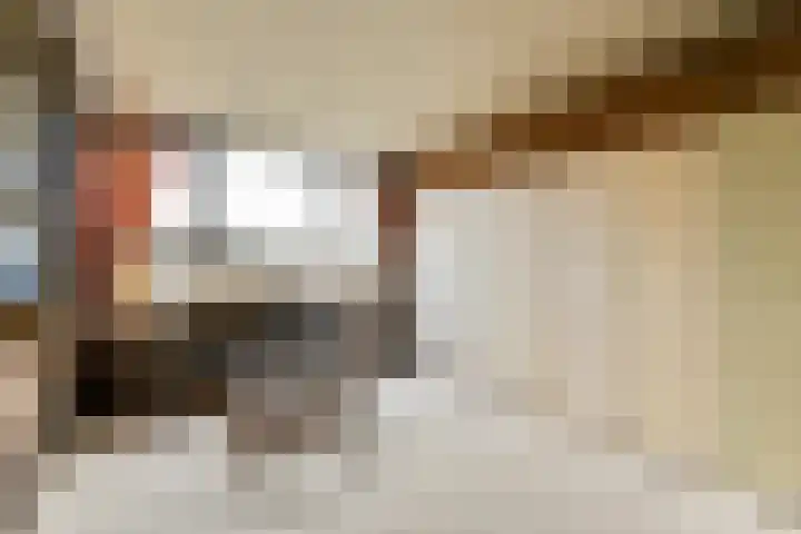 de Ceder 6 Bergschenhoek thumbnail 23