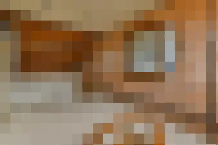 de Ceder 6 Bergschenhoek thumbnail 24