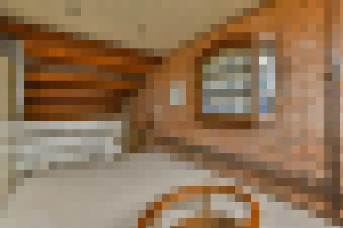 de Ceder 6 Bergschenhoek thumbnail 24