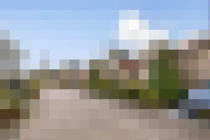 de Ceder 6 Bergschenhoek thumbnail 25