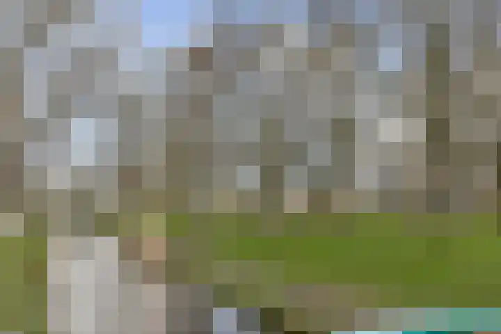 de Ceder 6 Bergschenhoek thumbnail 27