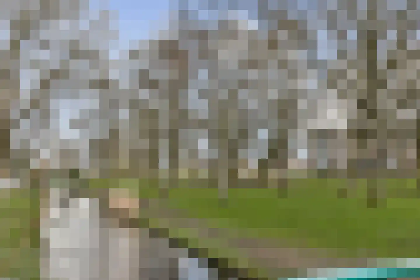 de Ceder 6 Bergschenhoek thumbnail 27