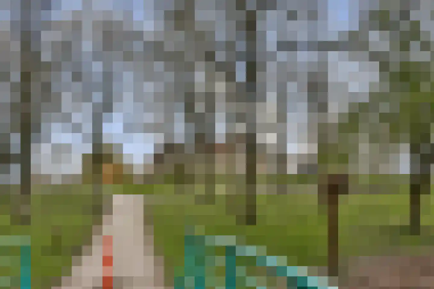 de Ceder 6 Bergschenhoek thumbnail 28