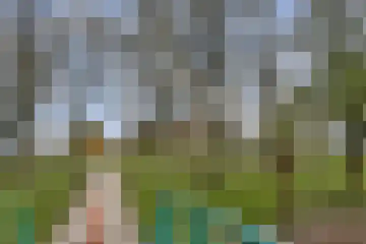 de Ceder 6 Bergschenhoek thumbnail 28