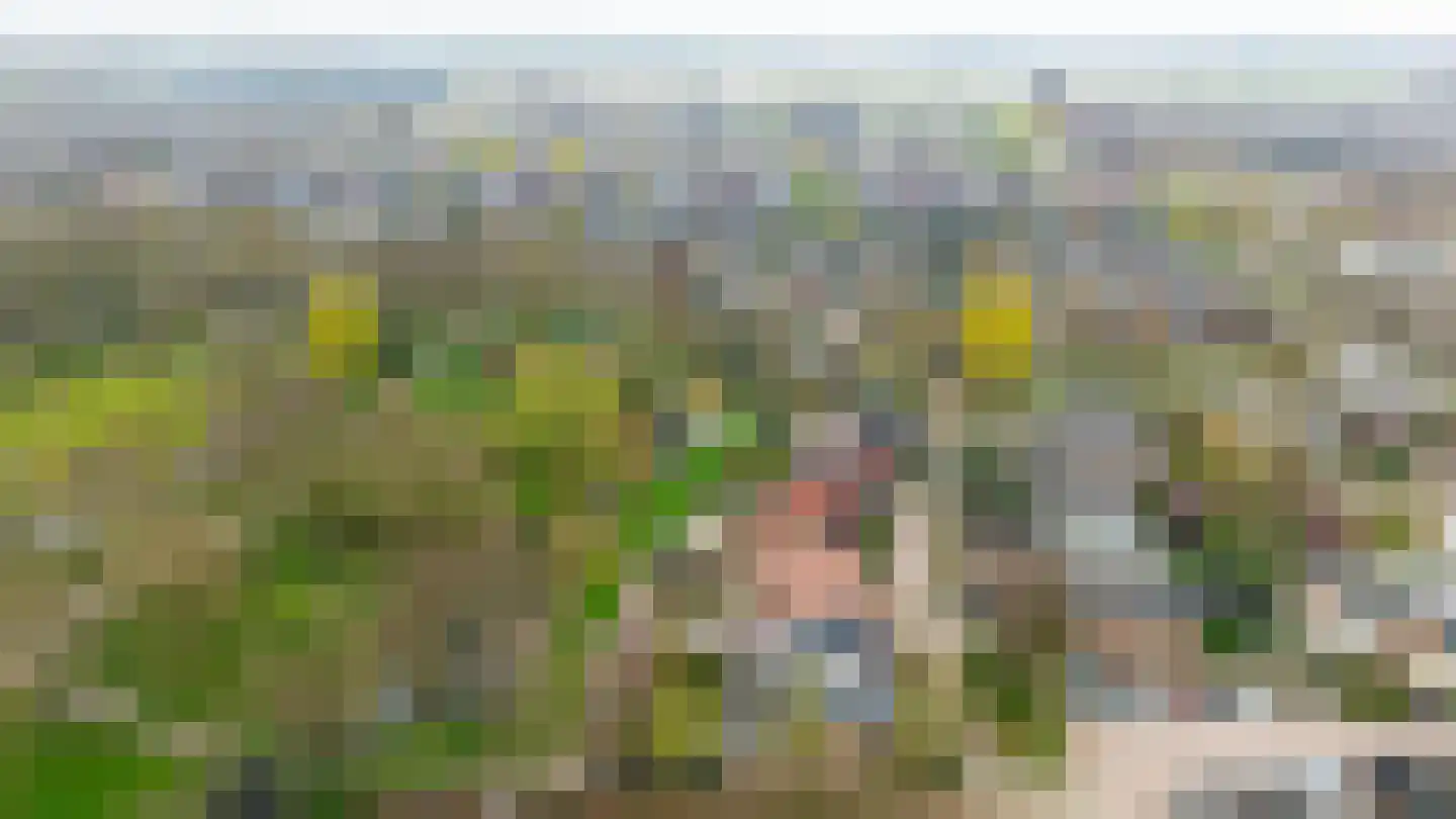 de Ceder 6 Bergschenhoek thumbnail 29