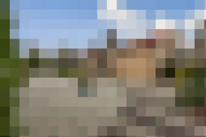 de Ceder 6 Bergschenhoek foto 3