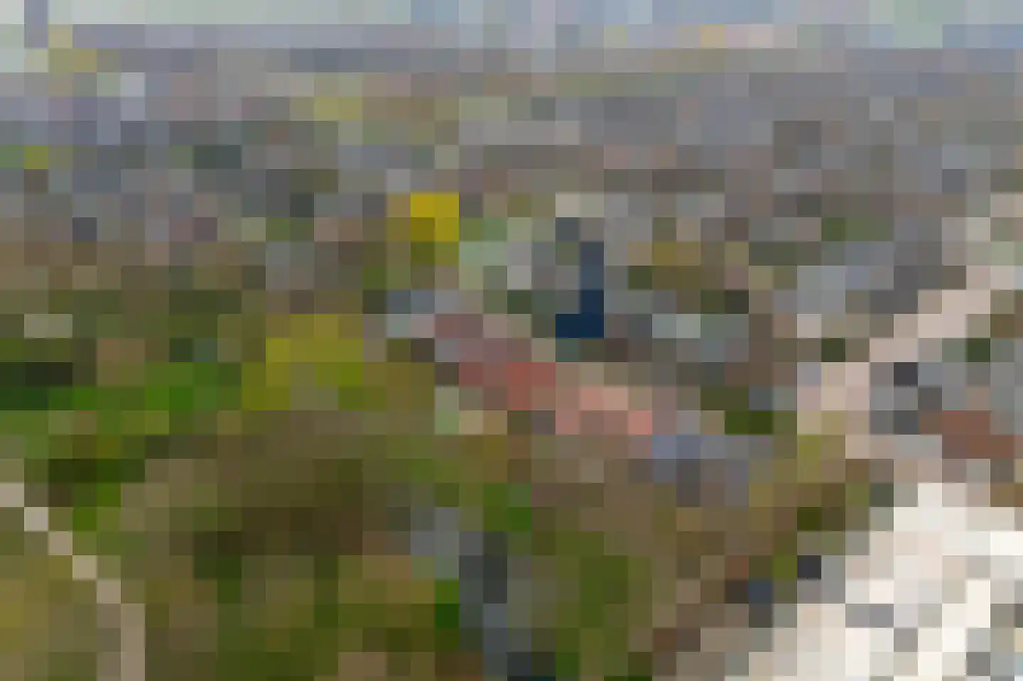 de Ceder 6 Bergschenhoek thumbnail 4