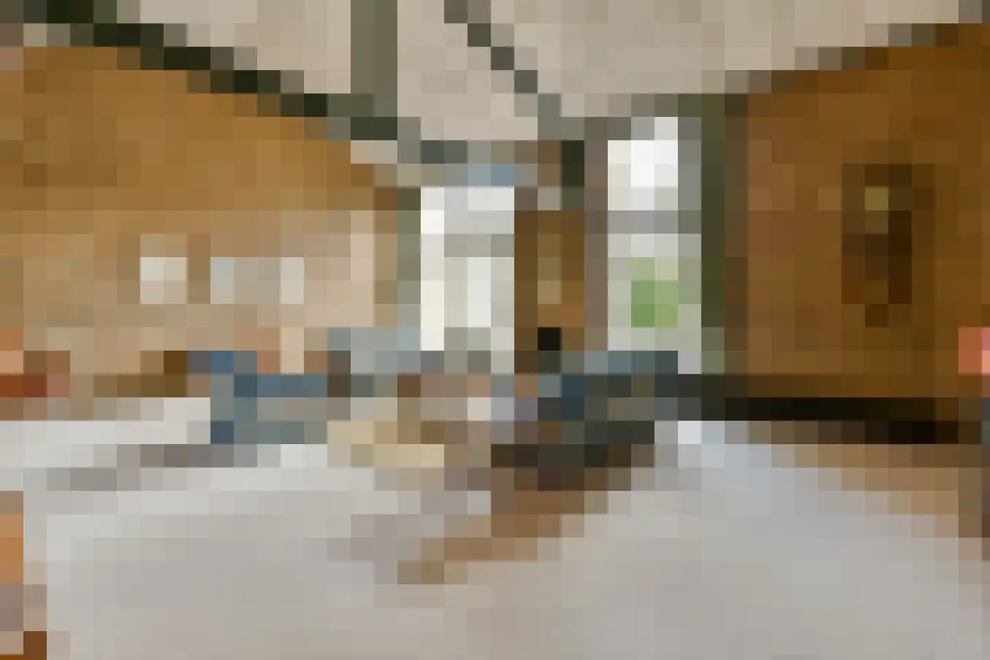 de Ceder 6 Bergschenhoek thumbnail 6