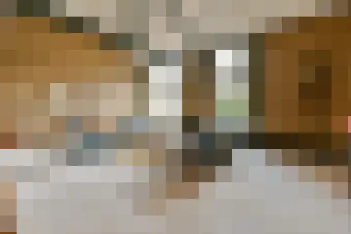 de Ceder 6 Bergschenhoek thumbnail 6