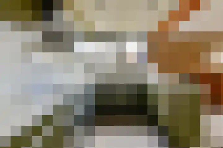 de Ceder 6 Bergschenhoek thumbnail 9