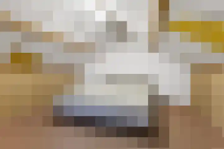de Chamillylaan 15 Grave thumbnail 31