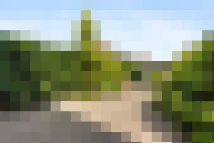 de Chamillylaan 15 Grave thumbnail 33