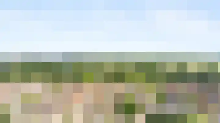 de Chamillylaan 15 Grave thumbnail 39