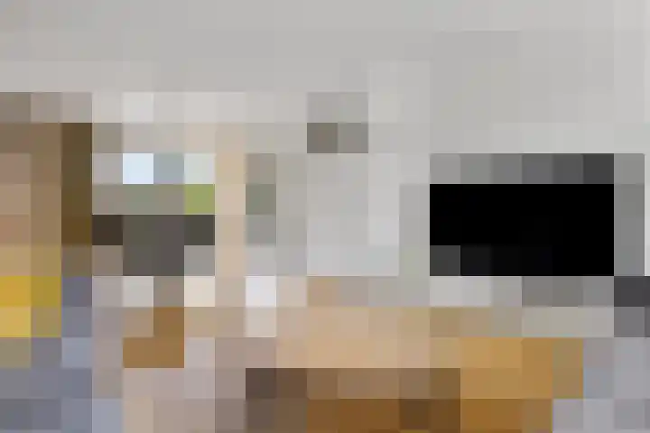de Chamillylaan 15 Grave thumbnail 6