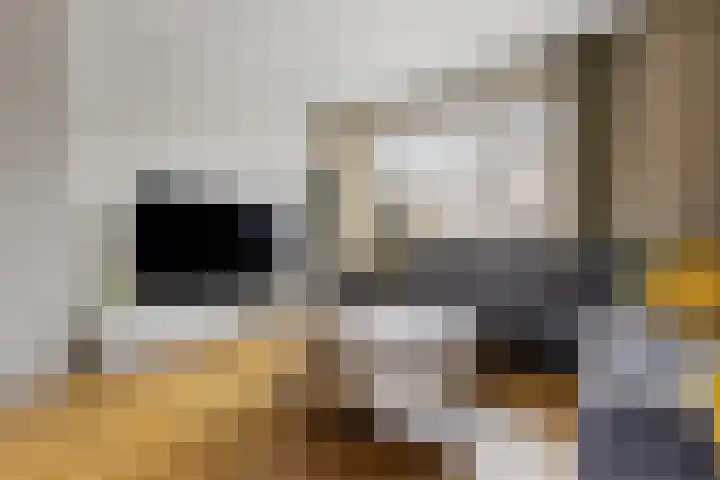 de Chamillylaan 15 Grave thumbnail 7