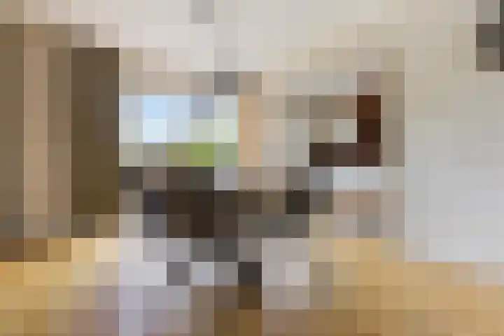 de Chamillylaan 15 Grave thumbnail 8