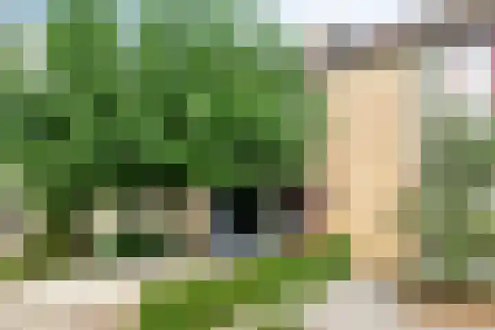 de Chamillylaan 17 Grave