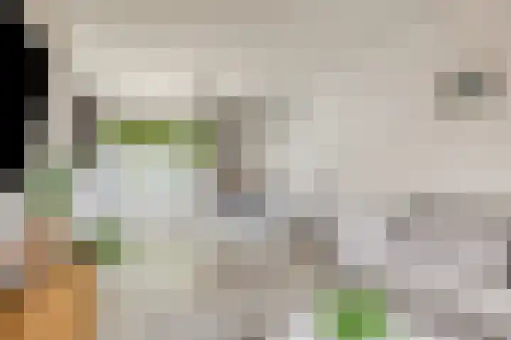 de Chamillylaan 17 Grave thumbnail 10
