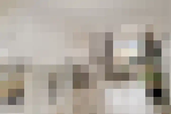 de Chamillylaan 17 Grave thumbnail 12