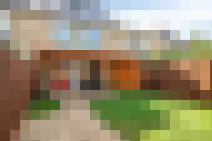 de Chamillylaan 17 Grave thumbnail 34