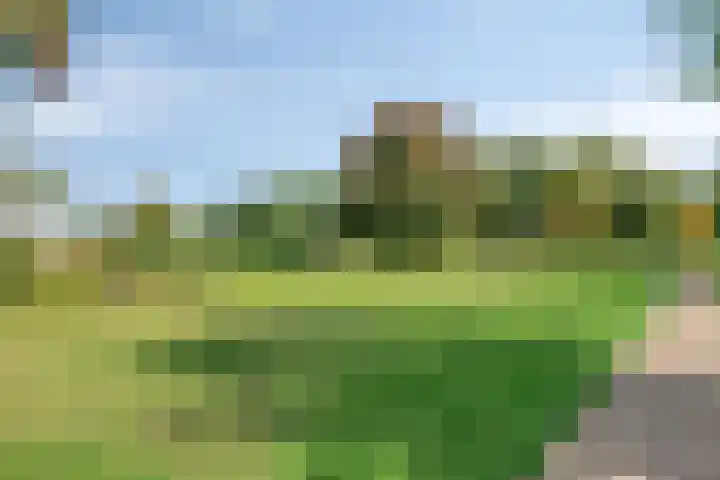 de Chamillylaan 17 Grave thumbnail 36