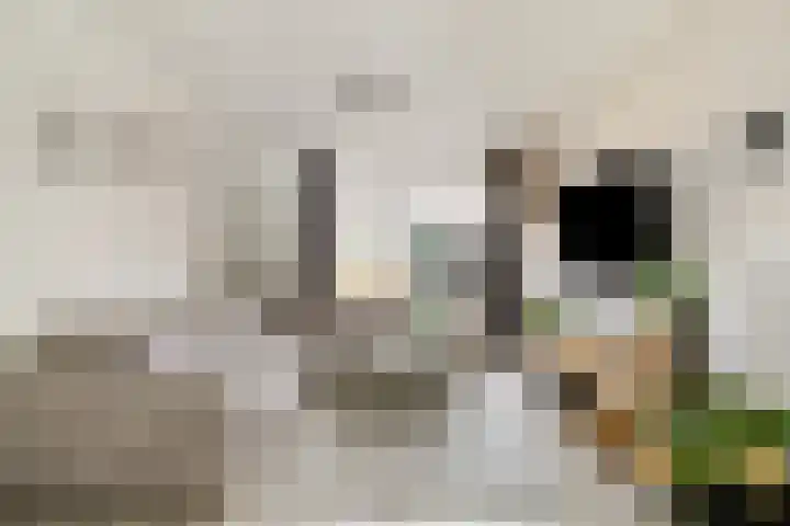 de Chamillylaan 17 Grave thumbnail 8