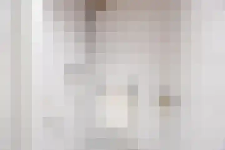 de Chamillylaan 46 Grave thumbnail 12
