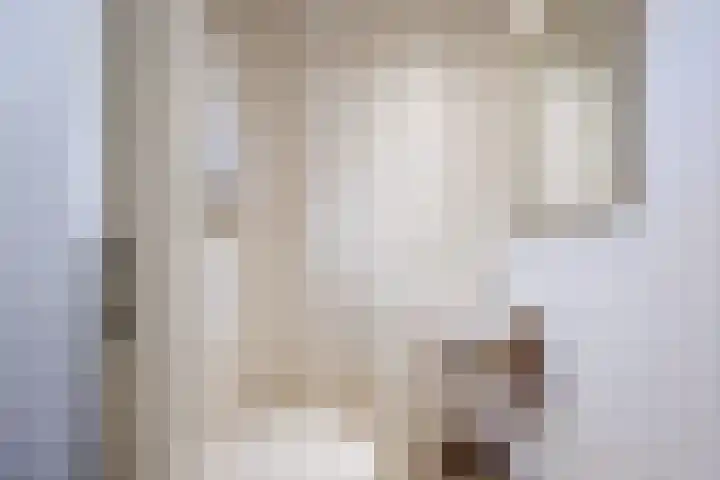 de Chamillylaan 46 Grave thumbnail 14