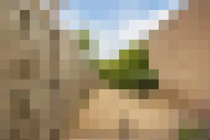 de Chamillylaan 46 Grave thumbnail 33