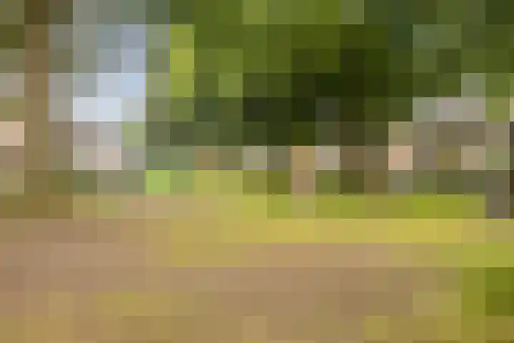 de Chamillylaan 46 Grave thumbnail 36