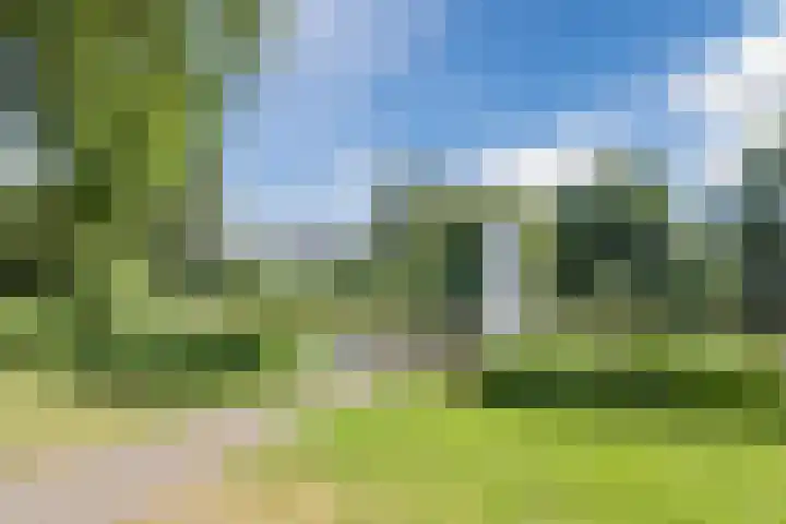 de Chamillylaan 46 Grave thumbnail 37