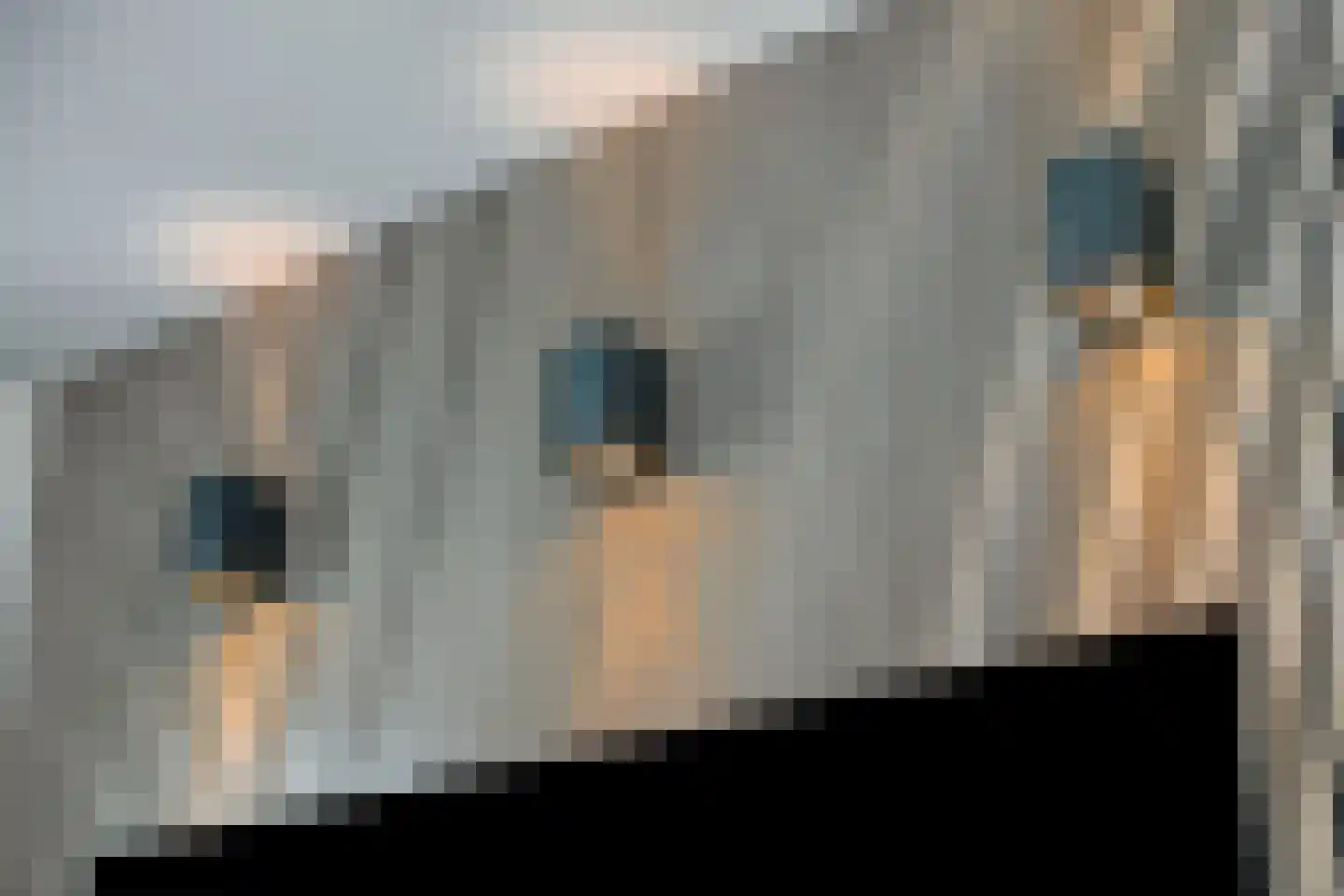 De Cingel 11 Hooge Mierde thumbnail 11