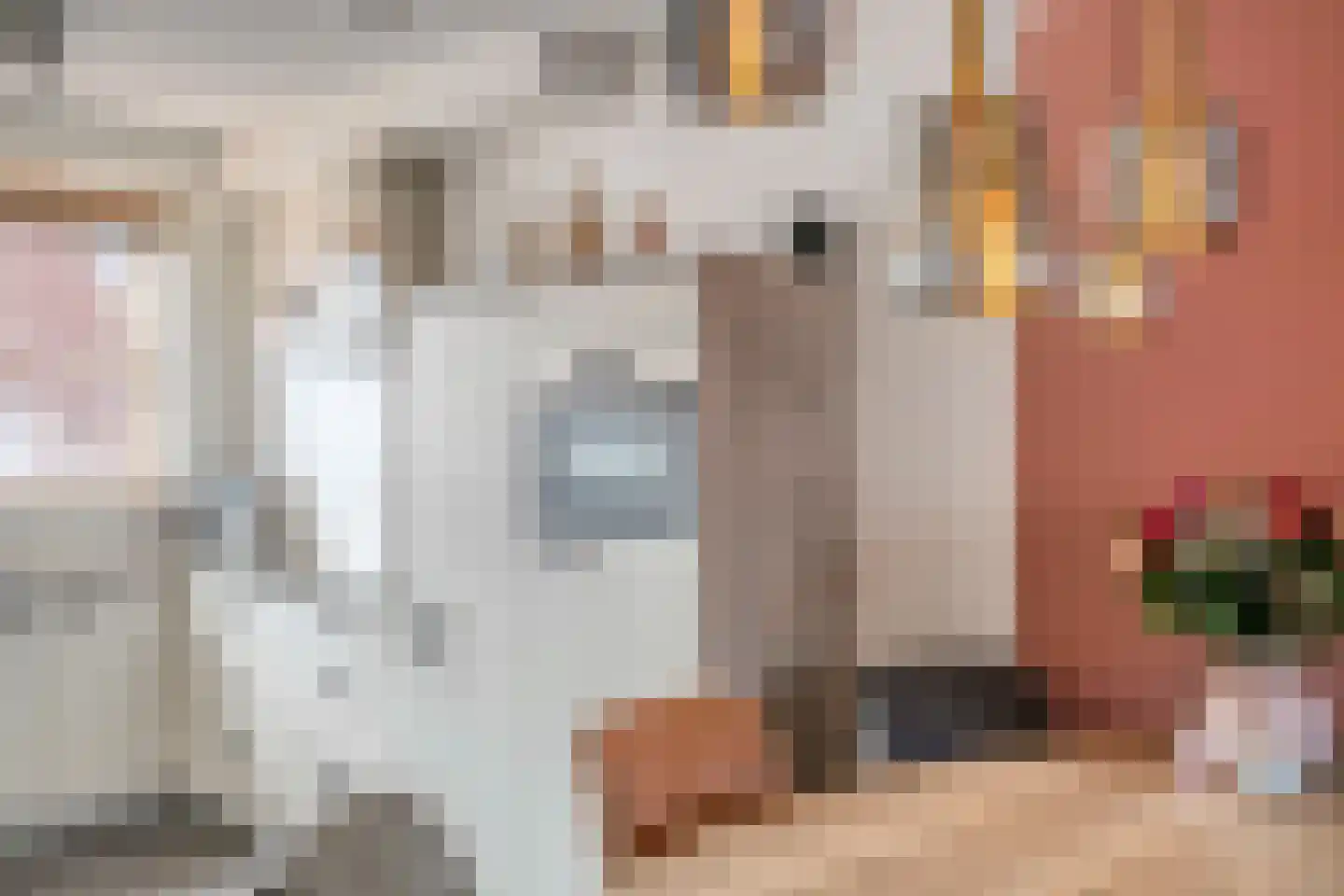 De Cingel 11 Hooge Mierde thumbnail 13