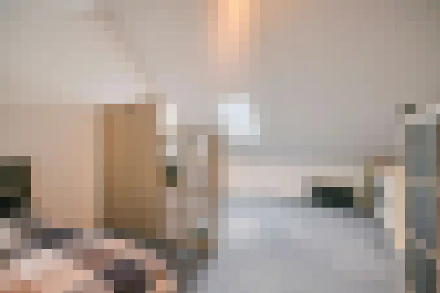 De Cingel 11 Hooge Mierde thumbnail 27
