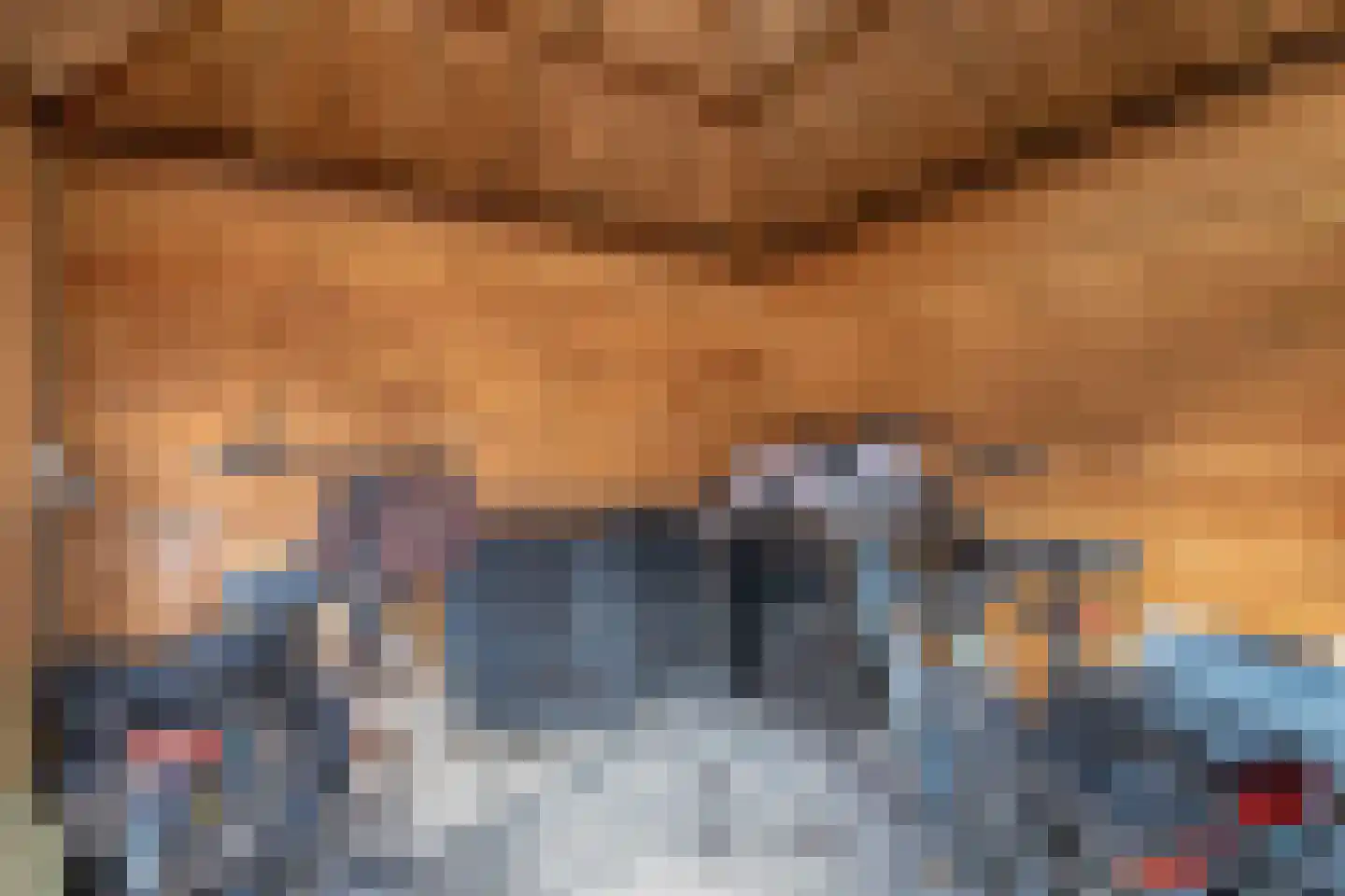 De Cingel 11 Hooge Mierde thumbnail 34