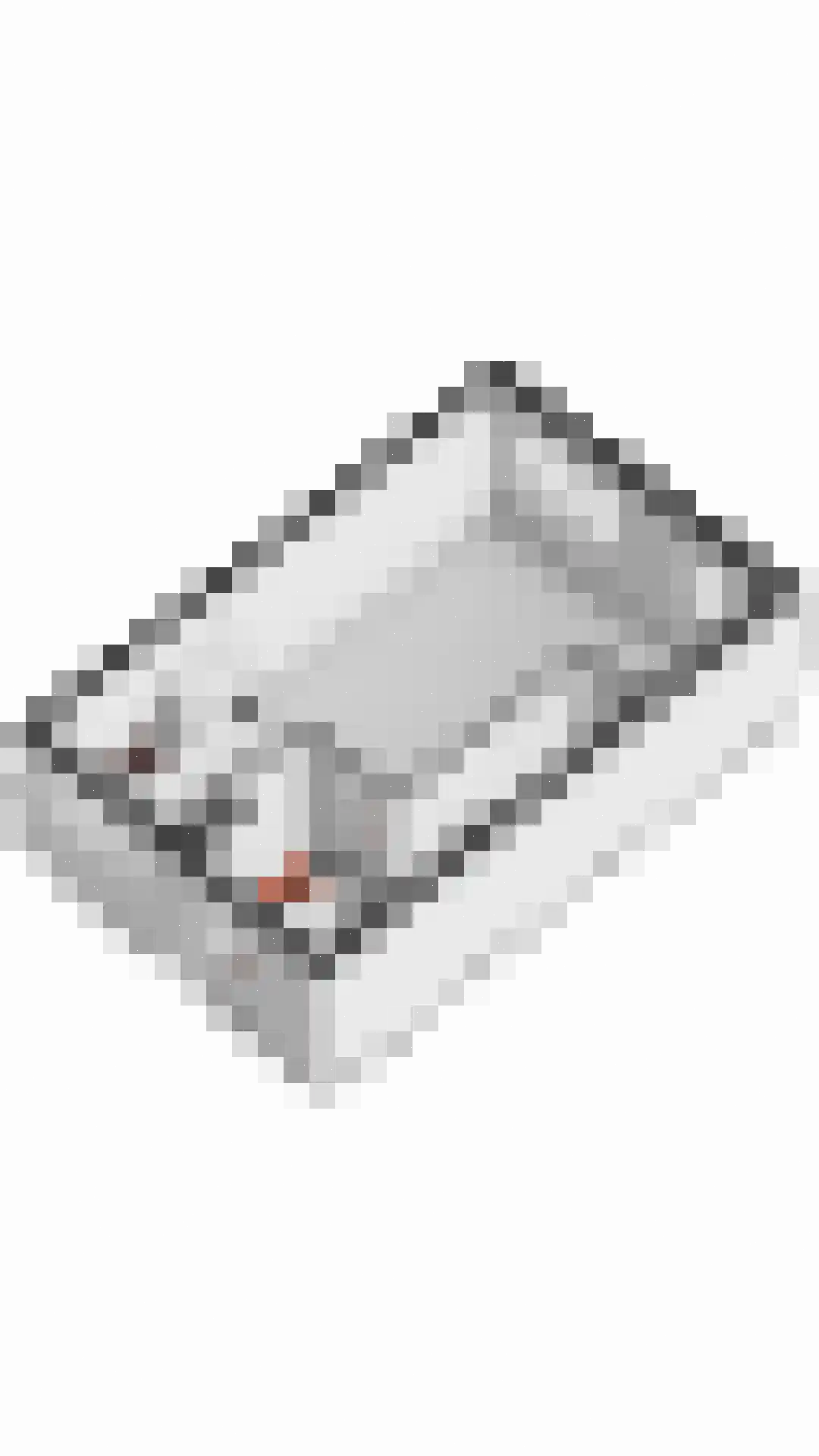 De Cingel 11 Hooge Mierde thumbnail 43