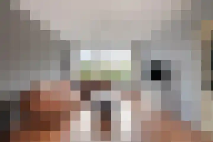 de Cingel 16 Heino thumbnail 10