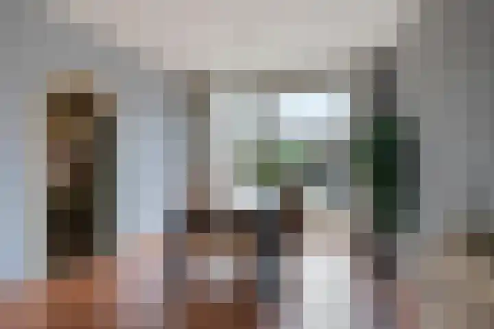de Cingel 16 Heino thumbnail 13