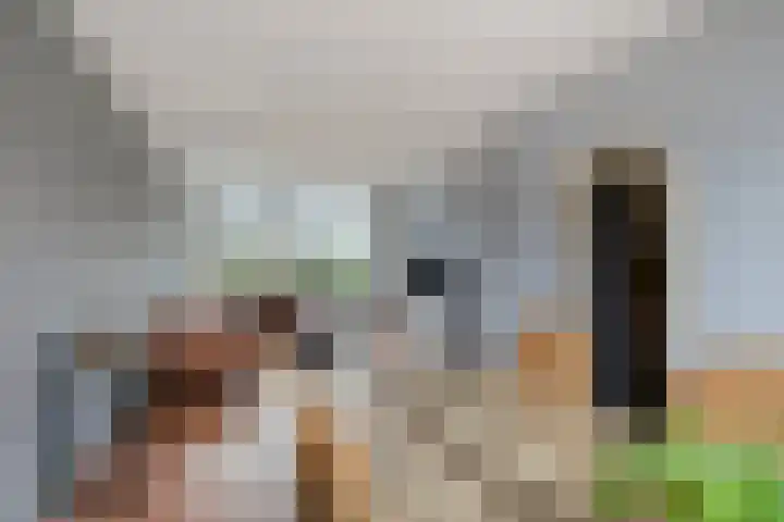 de Cingel 16 Heino thumbnail 14