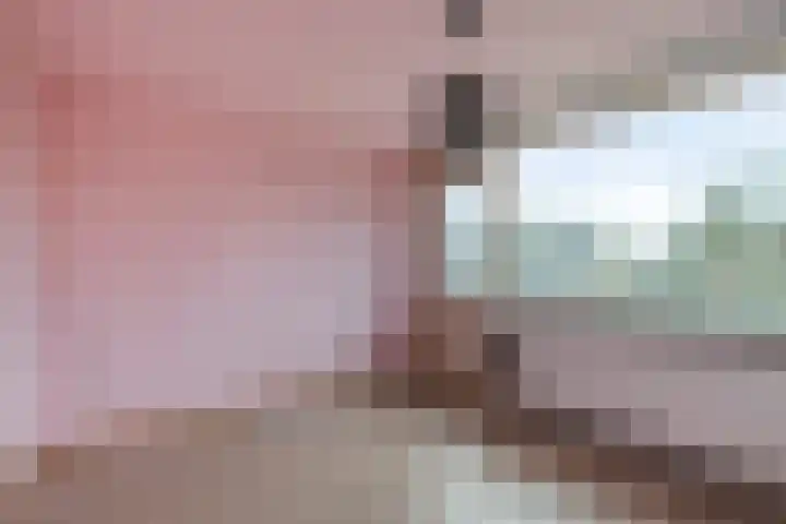 de Cingel 16 Heino thumbnail 20