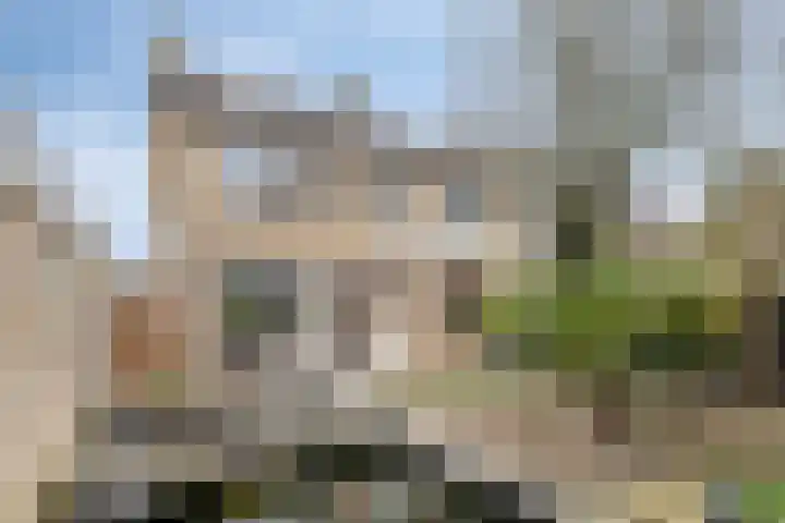 de Cingel 16 Heino thumbnail 34