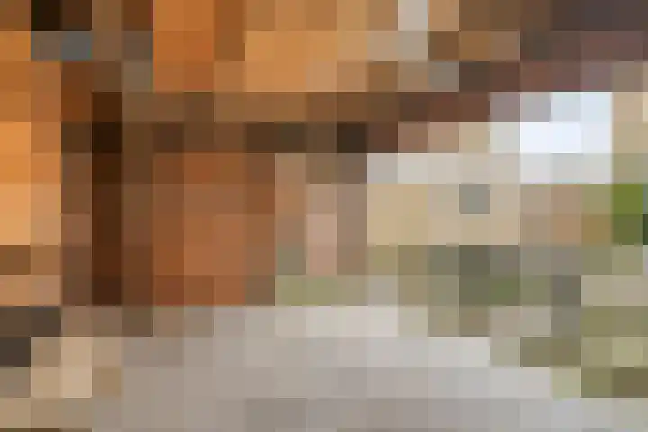 de Cingel 16 Heino thumbnail 35