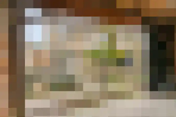 de Cingel 16 Heino thumbnail 36